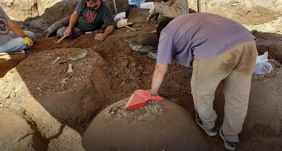 [Video]: así rescataban los restos de gliptodontes en el cauce del Vallimanca