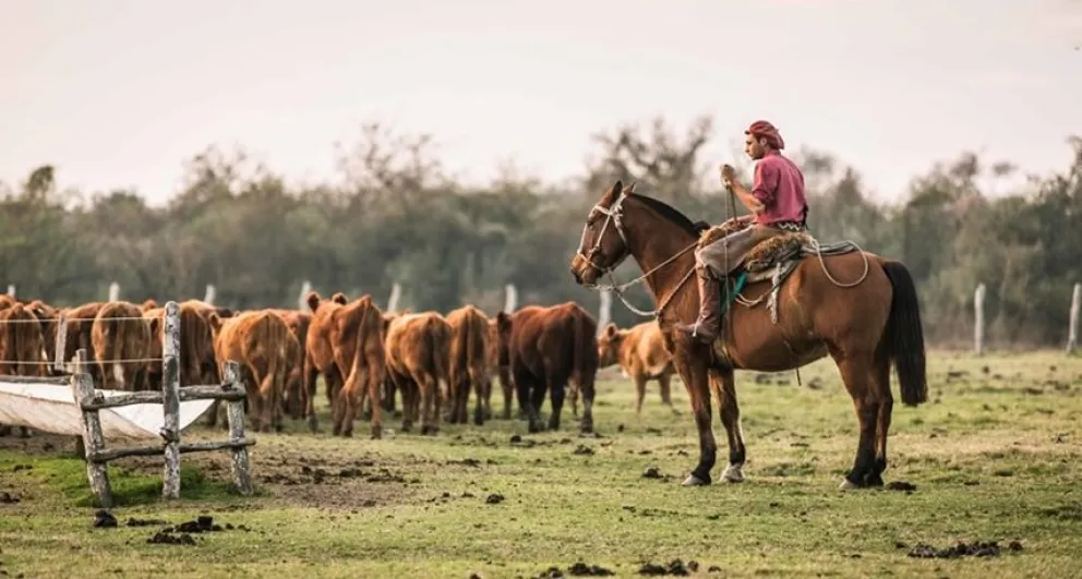 Día del Trabajador Rural: la fecha que vincula al peronismo con el campo argentino