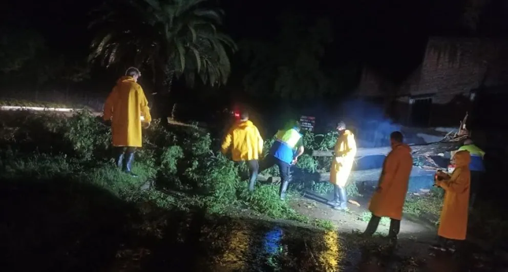 Cifras oficiales de lo que dejó el temporal en Bolívar