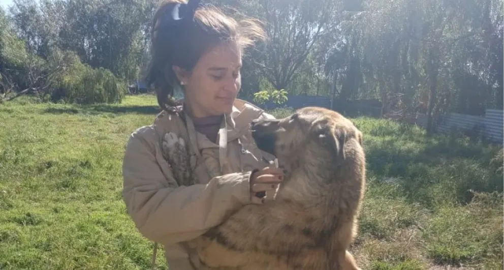 Reflexiones en este Día de los Animales: “Adoptemos de a uno, hasta que no quede ninguno”