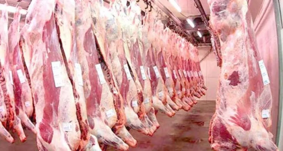 Preocupación de carniceros tras la clausura del frigorífico donde faenaron 80 vacunos robados en Bolívar