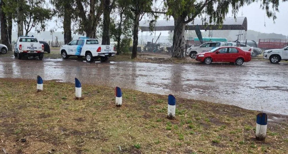 Robo de vacunos en Bolívar: decomisaron más de 14.000 kilos de carne del frigorífico donde los faenaron