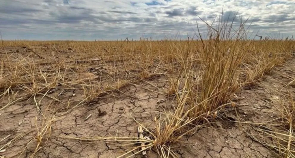 Se declaró la emergencia agropecuaria por sequía en 33 municipios bonaerenses
