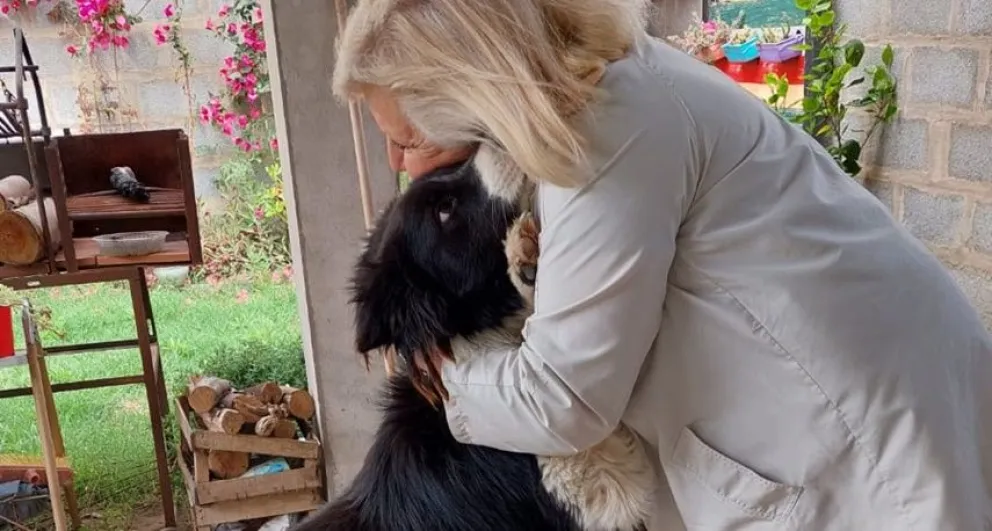 Conmovedora historia: viajó de Ituzaingó a Bolívar para adoptar un perrito rescatado por SAPAAB