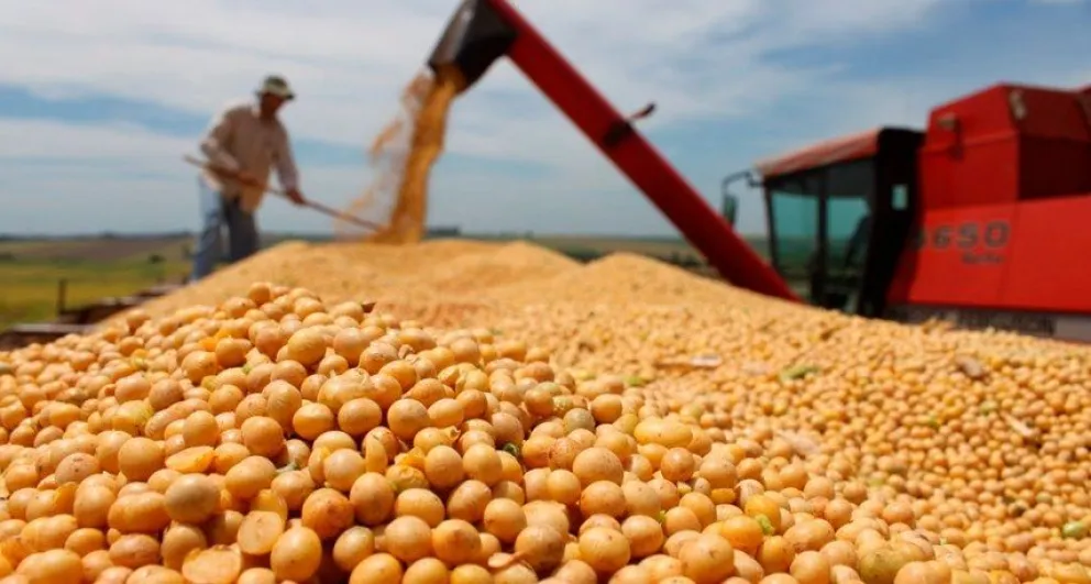 La segunda edición del dólar soja tiene fecha y horario de cierre