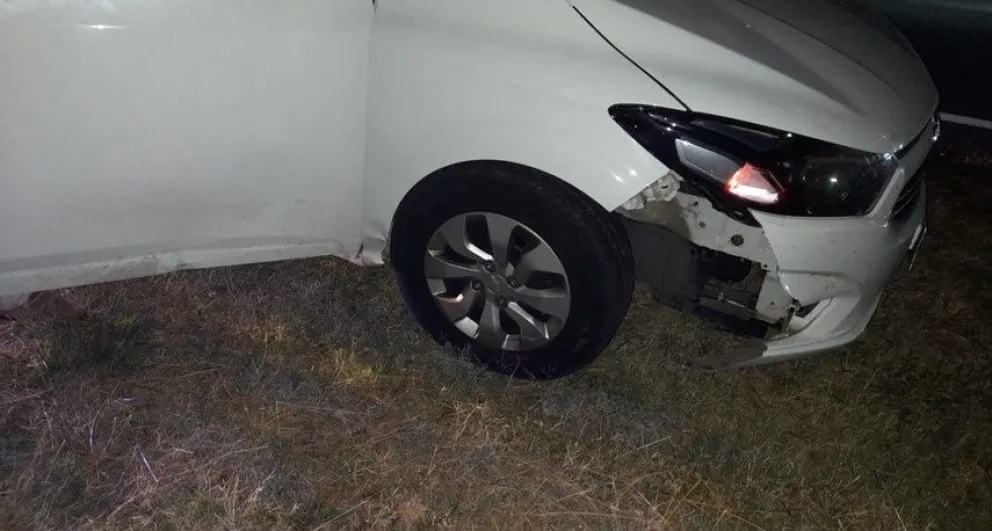 Ruta 226: un automóvil colisionó con un carpincho en horas de la madrugada