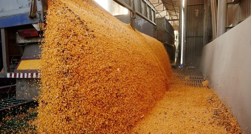 La Aduana evitó el contrabando de 150 toneladas de soja con destino a Brasil