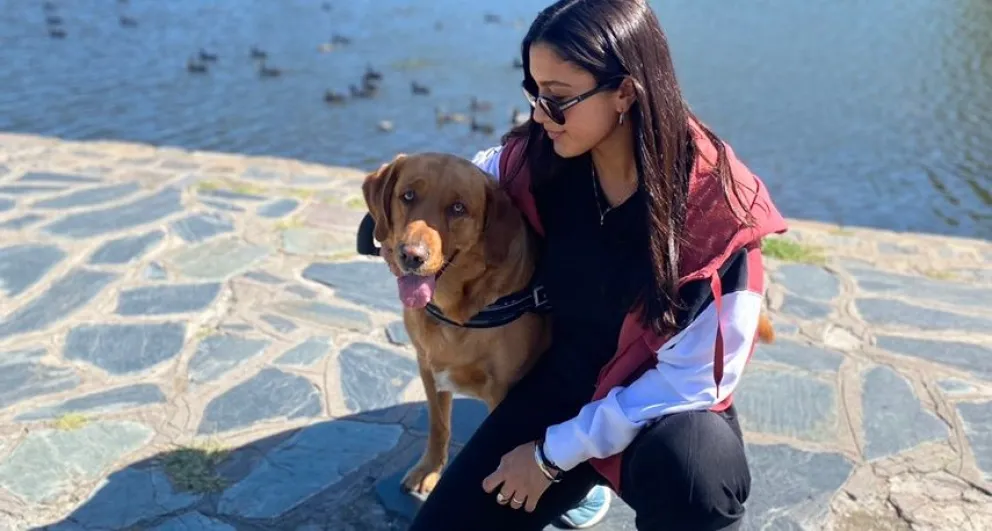 La historia de Almendra, la perrita que accederá a una costosa operación gracias a la solidaridad bolivarense