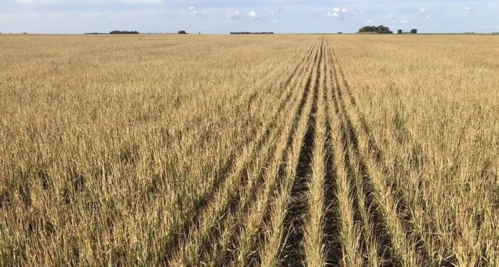 El campo salió a reclamar medidas y desde Provincia le respondieron