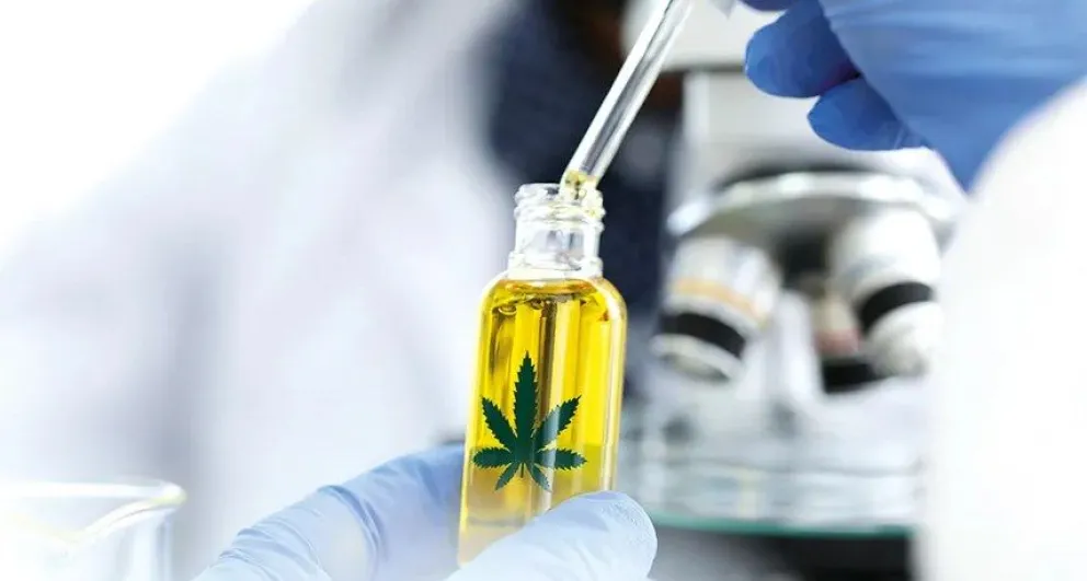 El Gobierno apuesta a exportar cannabis y pone a un intendente al frente del plan