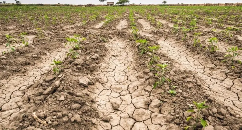 La provincia prorrogó la emergencia agropecuaria y agregó a otros 9 distritos