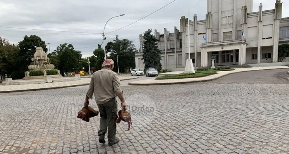 A modo de protesta: colgó dos cabezas de terneros en el mástil del Municipio
