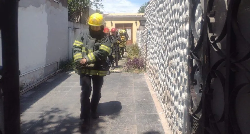 Bomberos Voluntarios rescataron a un lagarto overo en una vivienda de calle Zapiola