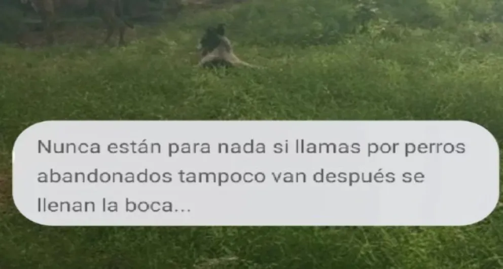 El fuerte descargo de Sapaab tras recibir mensajes intimidatorios: “No tenemos por qué bancarnos la falta de respeto”