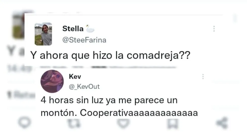 “¿Y ahora qué hizo la comadreja?“: Las reacciones en las redes por el corte de luz en Bolívar