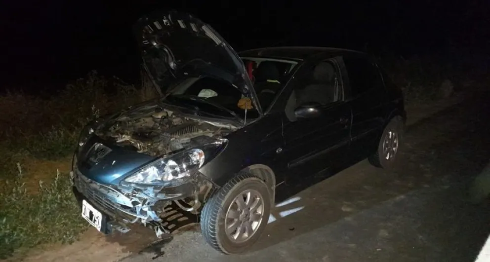 Una mujer fue trasladada al hospital luego de un choque de un auto con un carpincho