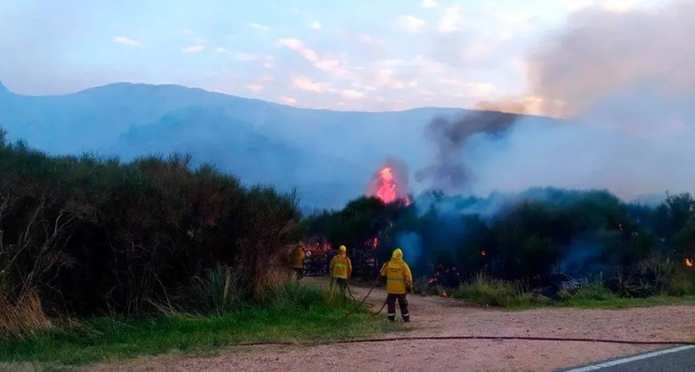 Bomberos, junto a aviones y helicópteros, combaten incendio en parque provincial Tornquist