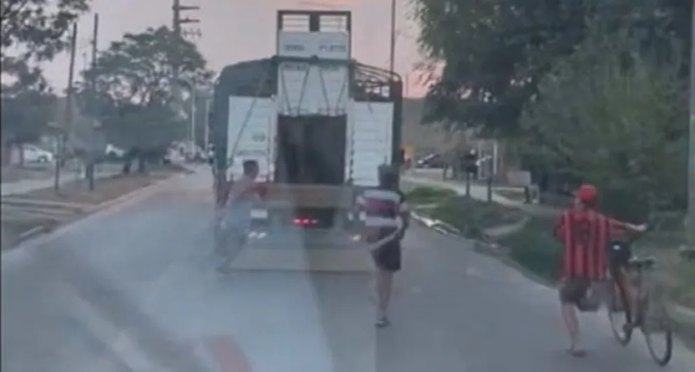 Video: quisieron hurtar vacas de un camión de Pehuajó mientras viajaba hacia el frigorífico