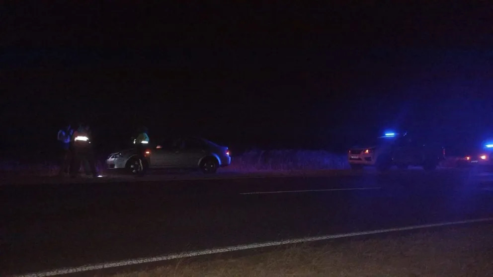 Un automóvil colisionó con un vacuno en Ruta 205