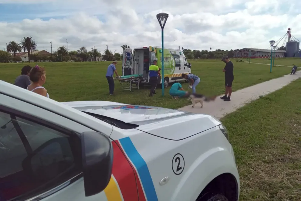 Un motociclista hospitalizado tras accidentarse en barrio Colombo