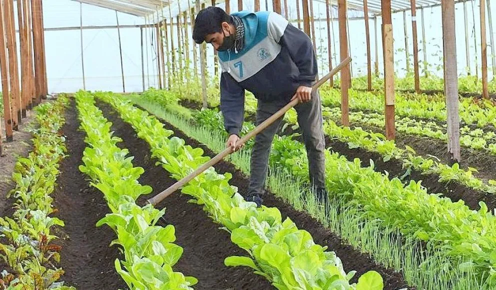 El ambicioso proyecto para combatir el desempleo y la pobreza que lanzó Daireaux