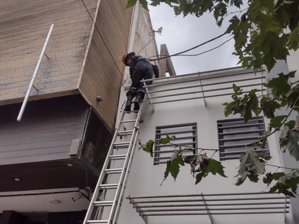 Bomberos realizó un operativo por un rescate animal y el felino se escapó