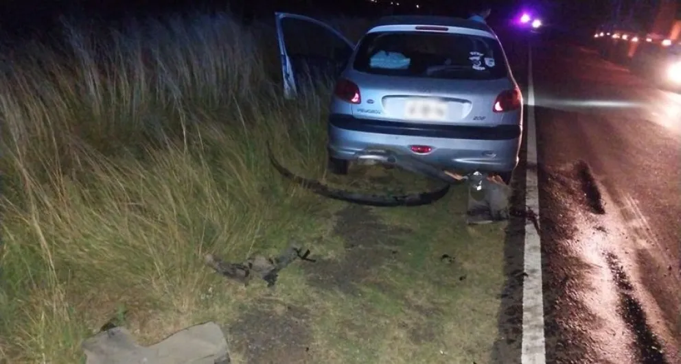 Un auto impactó contra un carpincho y dos personas fueron trasladadas en ambulancia