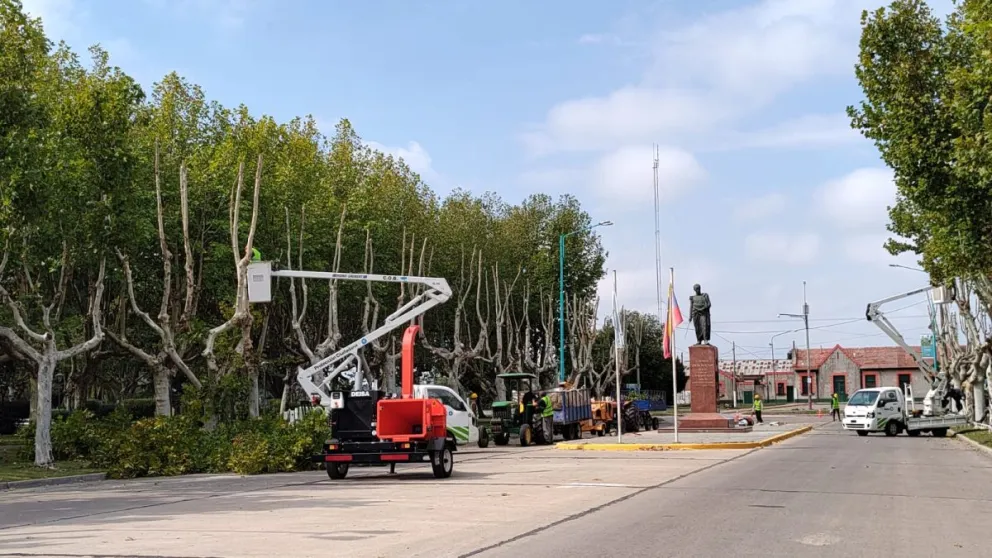 Comenzaron los trabajos de poda del arbolado urbano 