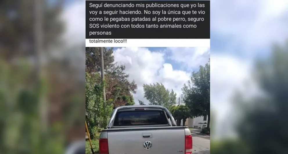 Una mujer denunció a un vecino por maltrato animal: "Constantemente pasan cosas así"