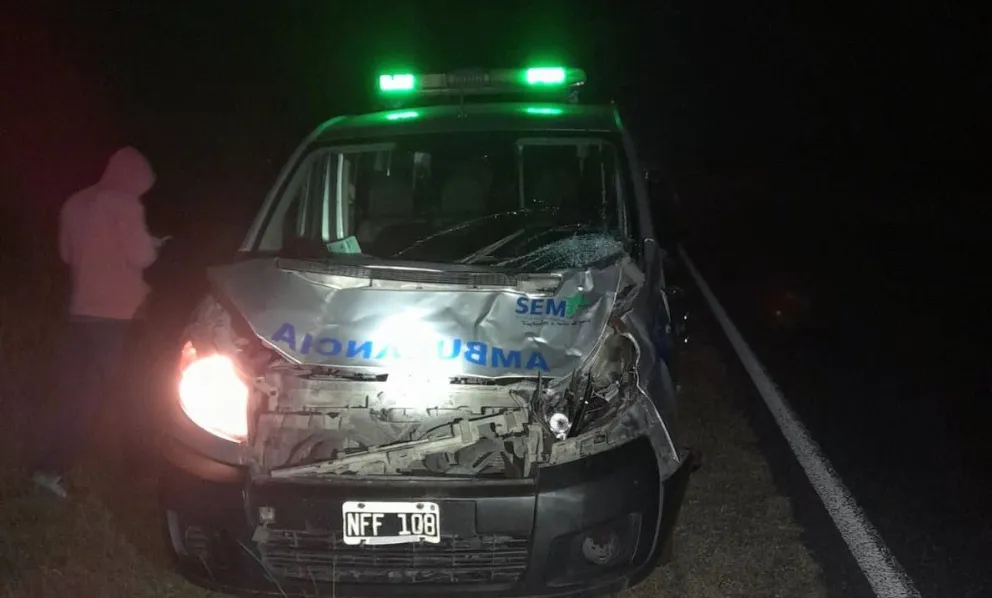Ambulancia colisionó contra un vacuno en Ruta 205: tres personas hospitalizadas