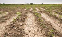 Se decretó la prórroga de la emergencia agropecuaria por la sequía en 60 distritos