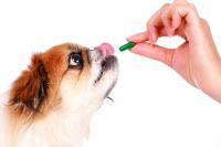 Se decretó que las farmacias puedan vender medicamentos veterinarios para mascotas
