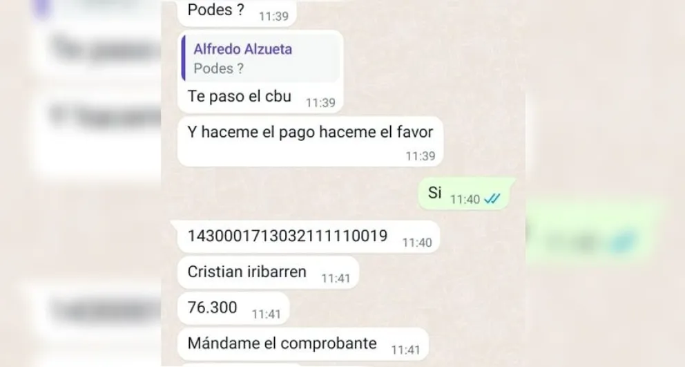 Intervinieron en su WhatsApp y estafaron a sus contactos: "Me enganché con la charla porque la sentí muy profesional"