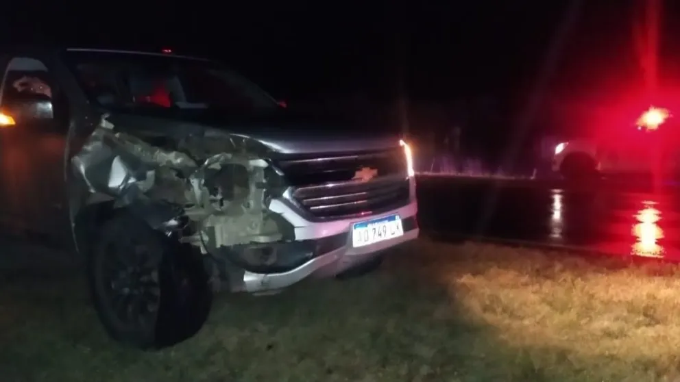 Una camioneta impactó contra un vacuno en Ruta 226