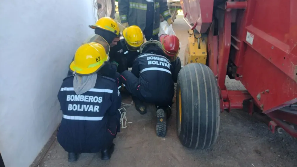 Bomberos Voluntarios rescataron a un carpincho de una vivienda