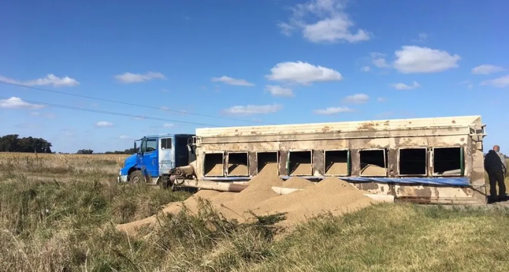 Un camión volcó en la ruta 226 y derramó su carga sobre la banquina