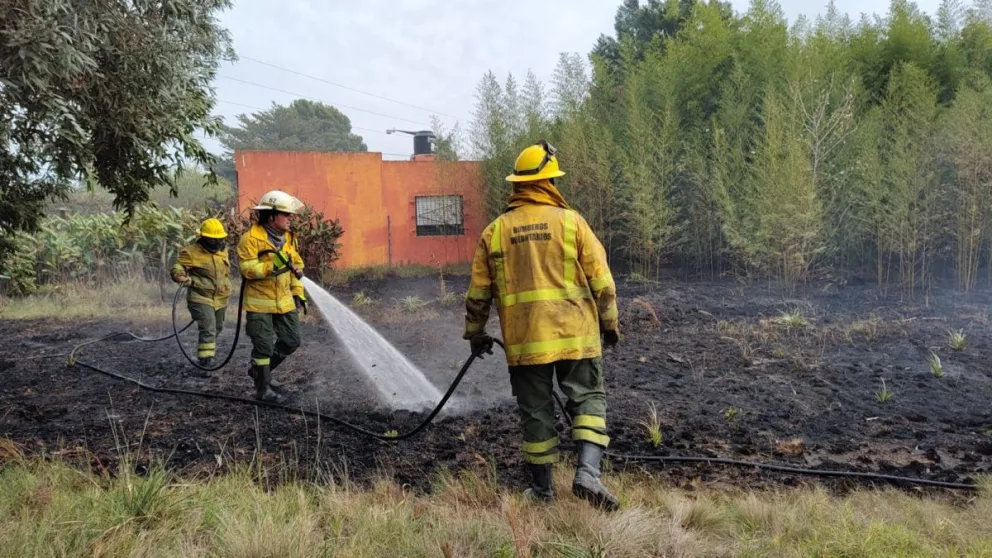 Bomberos Voluntarios trabajaron en un incendio de pastos y cañas