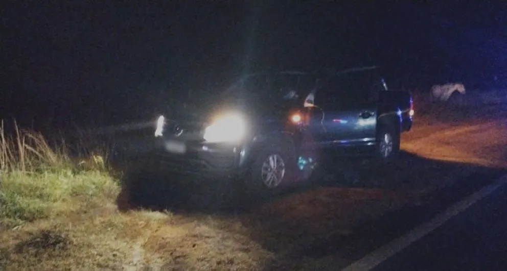 Una camioneta colisionó contra un equino en la ruta 226