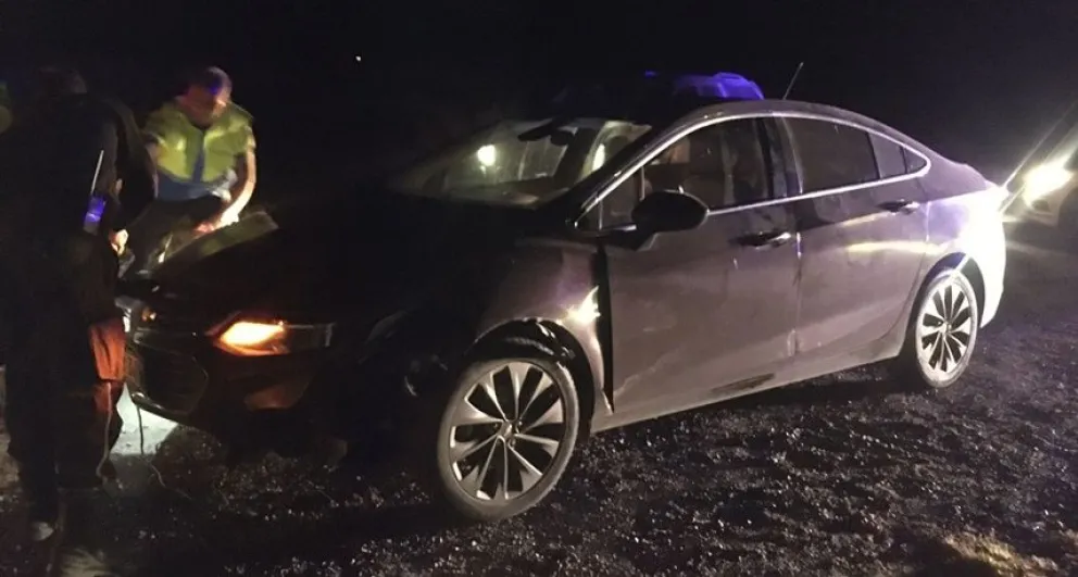 Un auto colisionó contra un porcino en la ruta 226