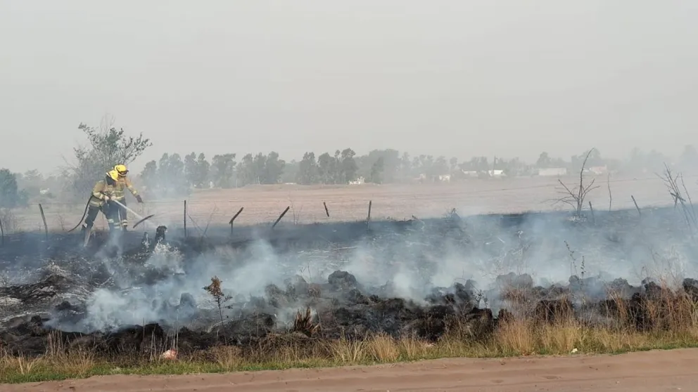 Intensa labor de Bomberos Voluntarios en una jornada marcada por fuertes vientos