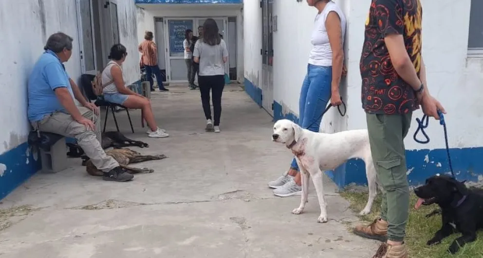 Sapaab anunció una nueva jornada de castraciones masivas para reforzar la concientización de tenencia responsable