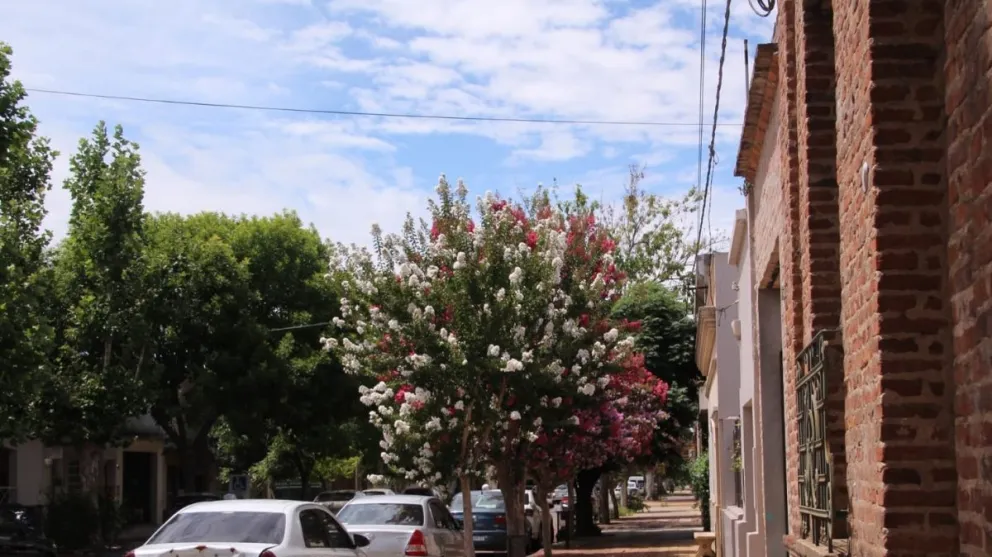 Anunciaron una anomalía en las temperaturas previstas para la tercera semana de mayo