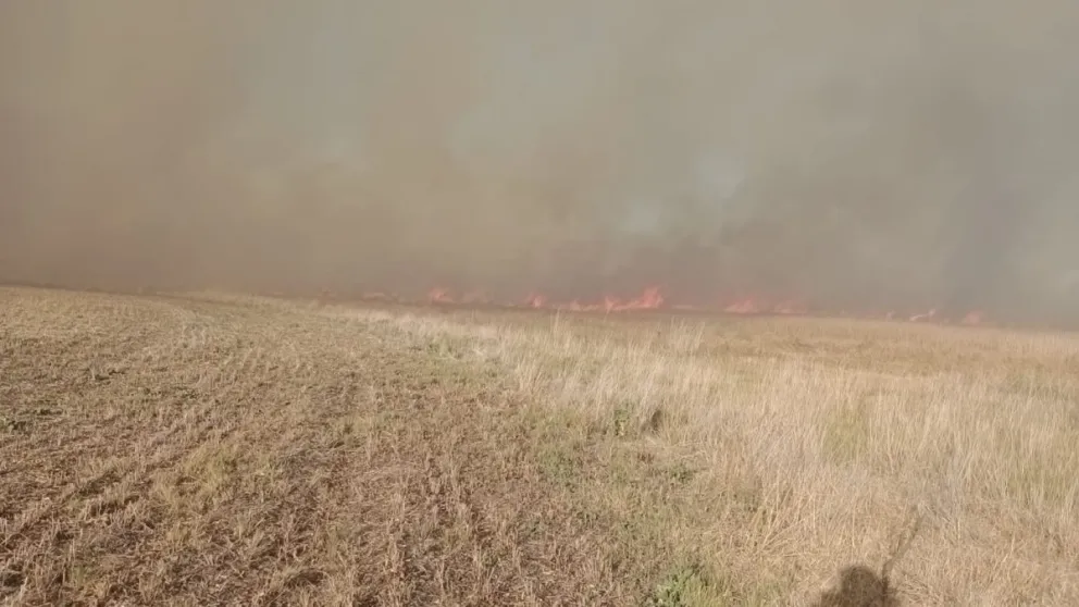 Incansable labor Bomberos de Bolívar en un incendio forestal de más de 300 hectáreas