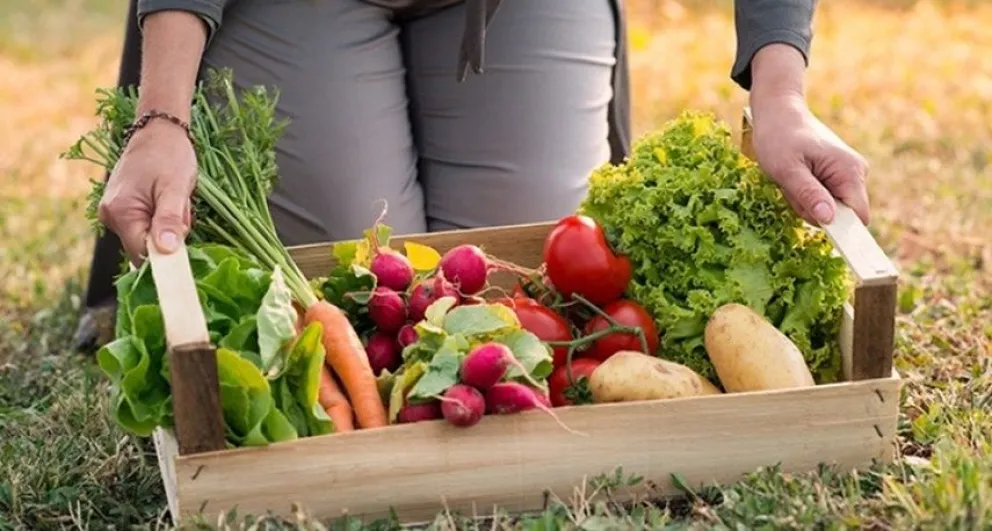 Los precios de agroalimentos se multiplicaron 3,5 veces en mayo