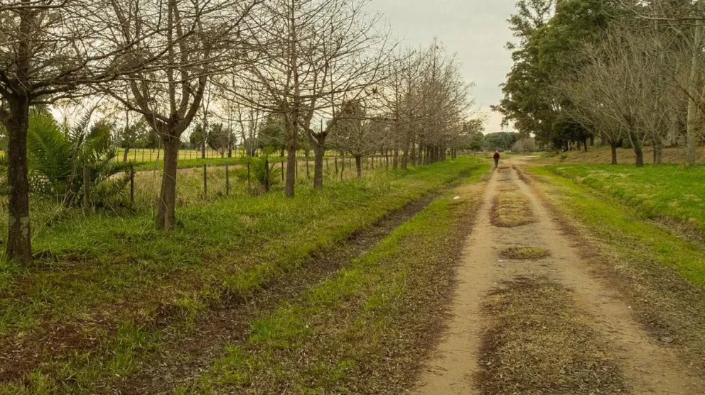 Bolívar en el Top 20 de los distritos más fríos de Argentina