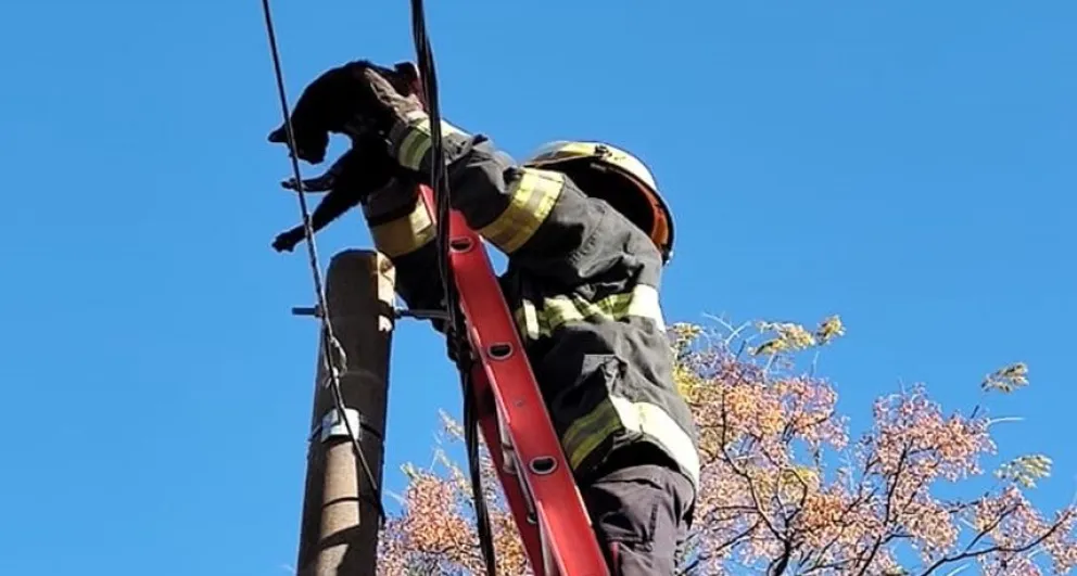 ¿Cuándo pedir ayuda a Bomberos Voluntarios?