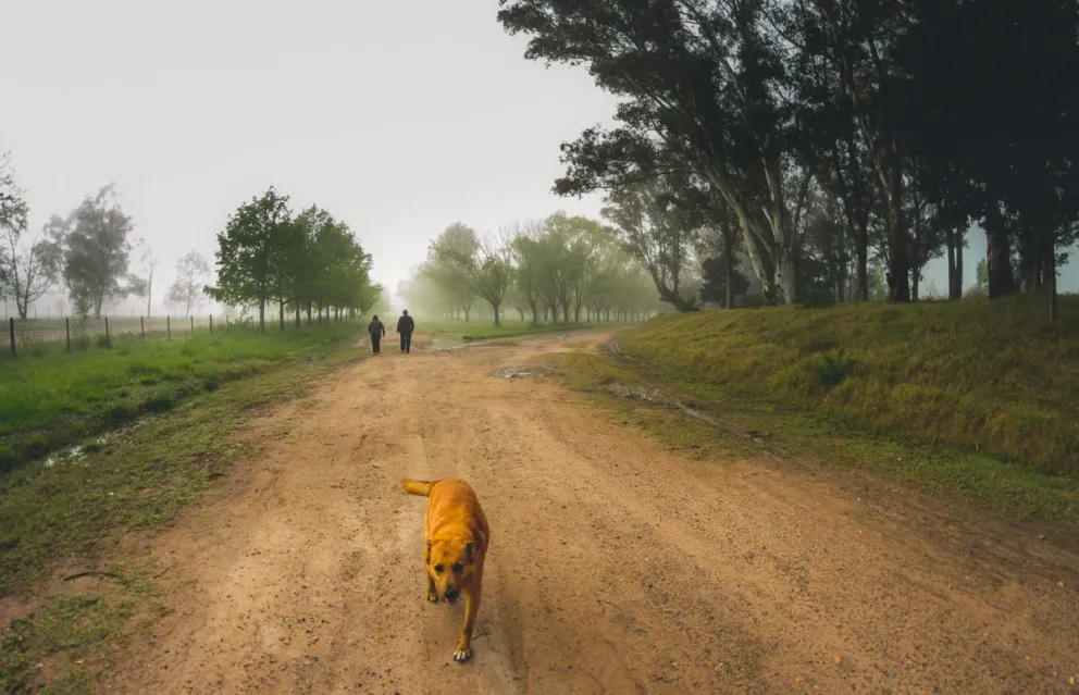 Bolívar se ubicó otra vez entre las ciudades más frías del país