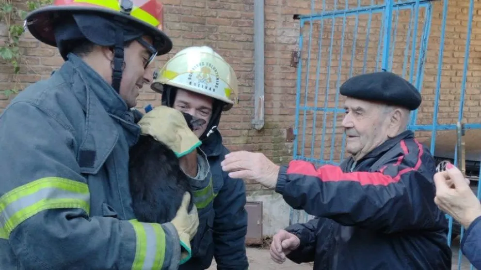 Bomberos Voluntarios rescataron a un felino en calle Sargento Cabral