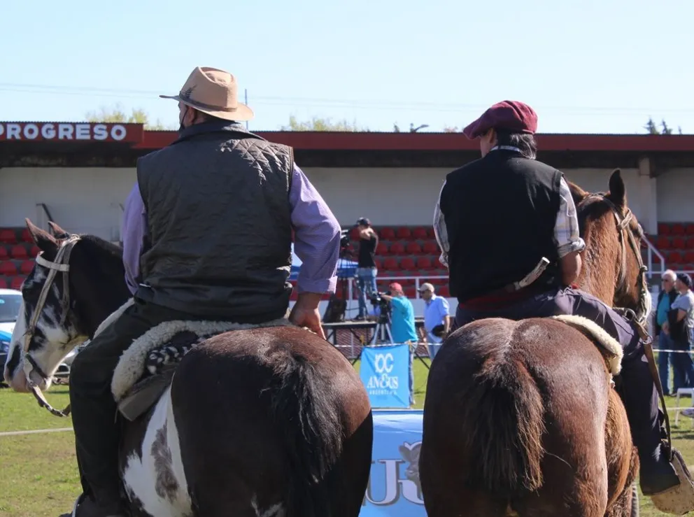 Ya tiene fecha la jineteada anual en la Rural de Bolívar: cuánto hay en premio y qué tropillas participarán